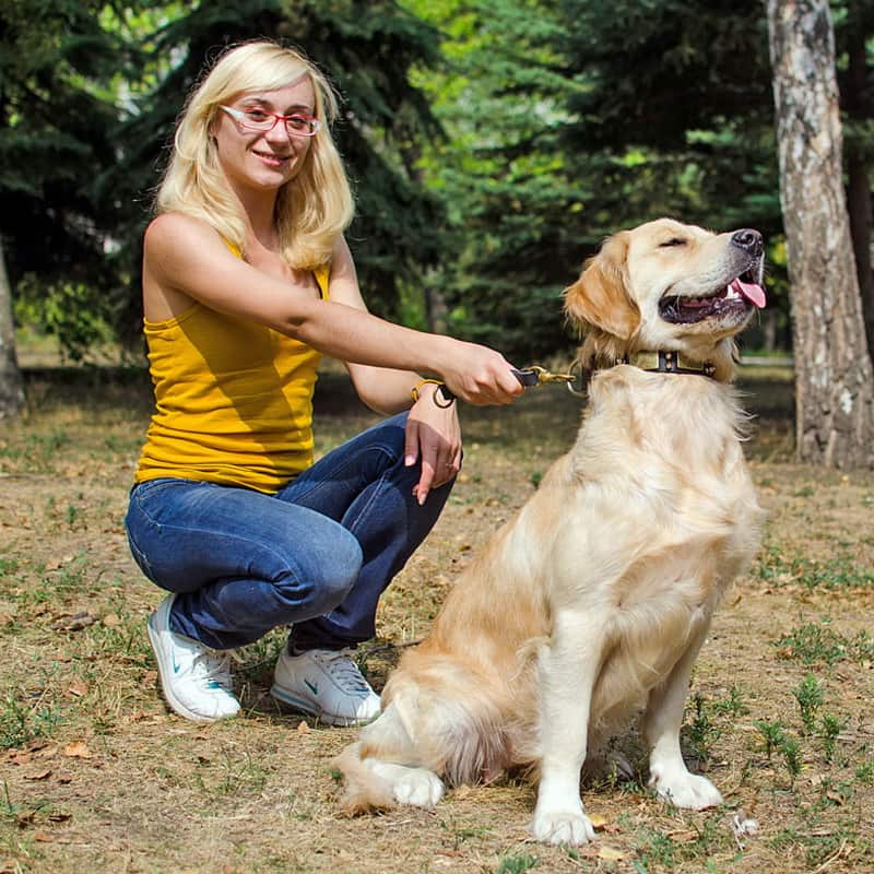 Черный кожаный переходник на поводок для голден ретривера  «Dog Comfort»